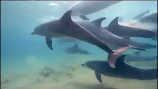 Boney M - Ocean of Fantasy