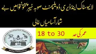 Livestock and Dairy Development Department Jobs 2021 | etea nts jobs