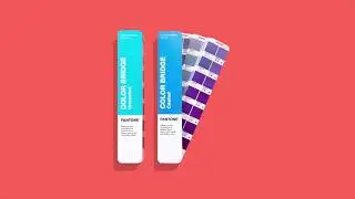 Working from Home with Pantone - Tools for Graphic Design