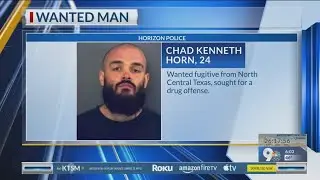 Wanted fugitive arrested during traffic stop in Horizon