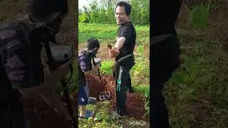 Berburu coin kuno