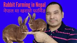 Rabbit Business in Nepal खरायो फार्मिंग नेपाल मा, हेर्नुहोस् र सिक्नुहोस् १००% फ्री