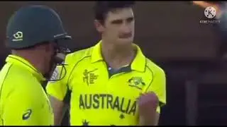 michol starc🏏 best yorker😱 bollings 👍