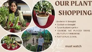 EXCLUSIVELY FOR PLANT LOVERS OUR PLANT SHOPPING AT 