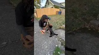 Тако Белл, атакующий кот
