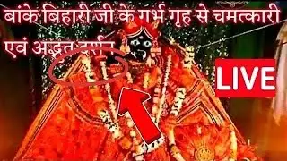 बांके बिहारी के गर्व गृह से अलौकिक दर्शन #bankebihari #vrindavan #radhakrishna #darshan #shyam