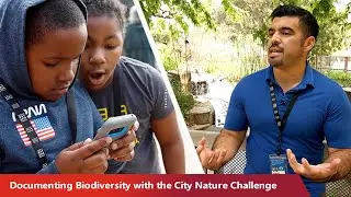 Documenting Biodiversity and Wildlife with the City Nature Challenge I Reach Further