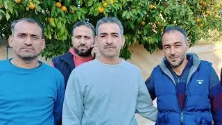 بلدة علما ،، افراح آل الزعبي ،، عقد قران الشاب يزن احمد الزعبي 🎊🎊🎊🎊