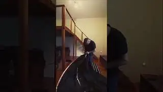 Ker&eacute;kp&aacute;r t&aacute;rol&oacute; s&aacute;tor a lak&aacute;sban.