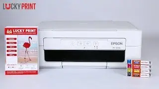 Обзор МФУ Epson PX-045A с картриджами Lucky Print