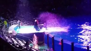 Shamu Chritmas Miracles SeaWorld Orlando Christmas Celebration 12-13-2014