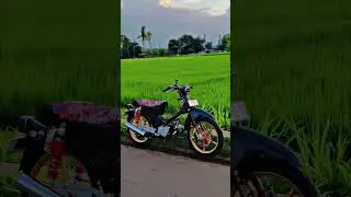 Riding pagi menikmati padi 🌾 #hondaclassic #hondac70 #c70racing