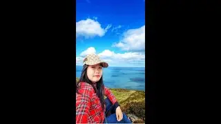 BRAY, County Wicklow - IRELAND 🇮🇪  In the Summer #shortsfeed #shorts #viralshorts #shortvideo