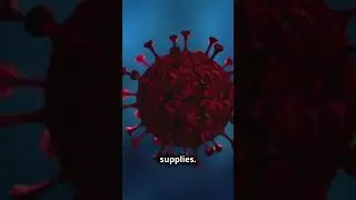 Nature's Secret Weapon: The Virus That Can Defeat Cancer