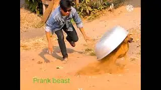 Sleeping prank dog💥💥 Big BOX💥💥 funny reaction🤣🤣🤣💝💫💝💞😂💞💫💝💫💝💝😄🤣😃💫💥💫💫💢💖💢💝