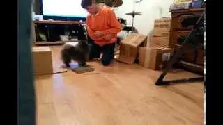20150306 235533