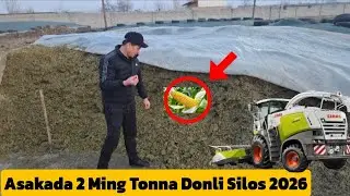 2 Ming Tonnalik Silos Yama Ochildi Asaka Tumanida Optom Narxlarda 