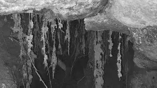 Zemes atmiņas | Soil Memories