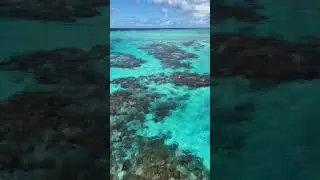 Stunning Great Barrier Reef 🪸 #dji #drone #reels #fyp
