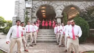 #DILBIR2015 Indian Wedding Party Intro Video | 
