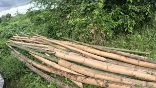 PAG KUHA NG KAWAYAN?