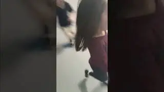 hide n seek (crazy jukes 🤪)