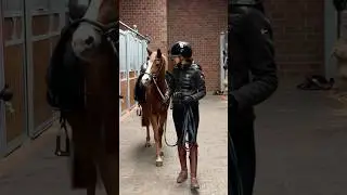 Gigi (*2022, ca. 1,32m)🐴 Falls ihr ein zuk&uuml;nftiges Kinder- oder Fahrpony sucht, meldet euch gern 🥰