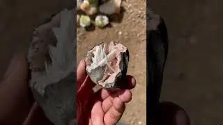 #apophyllite #minerals #zeolite #india #crystals #reels #mineralspecimen #youtubeshorts #cavansite