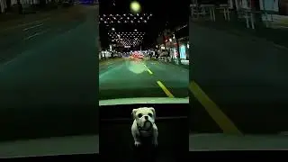 Zurich Night Drive POV 🇨🇭 #shorts   #zurich   #nightdrive   #pov   #switzerland