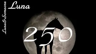 Luna&Someone - 250!