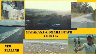 Matakana & Omaha Beach NZ - Vlog 147 - Outback Polaks