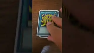Insect Deck Profile 2024. Yugioh New! #weevil #insects #yugioh #new #2024