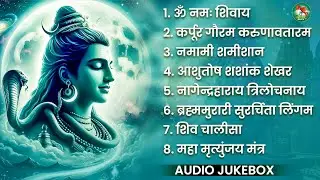 भक्ति भजन - आशुतोष शशाँक शेखर, कर्पूर गौरम करुणावतारं, ॐ नमः शिवाय, शिव अमृतवाणी व शिव आरती