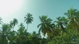 Playa El Ancl&oacute;n Dominican Republic