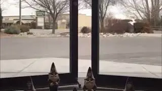 Gnome Invasion