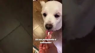 Quem sofre na hora de dar medica&ccedil;&atilde;o? Essa dica &eacute; maravilhosa 😍