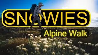 HIGH COUNTRY: Snowies Alpine Walk: 56km 3 days | Australia's highest & most expensive to build trail