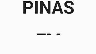 Pinas Fm 95.5