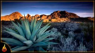 1 Hour Country Guitar Music | Desert Rose | Instrumental Acoustic Guitar
