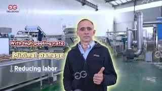 How US Clients Rate GELGOOG Garlic Processing Solutions