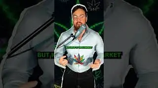 DISGUSTING weed economics explained 🤮