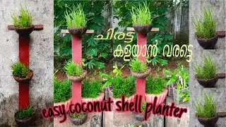 coconut shell hanging pot | coconut shell planter ideas | coconut shell hanging ideas