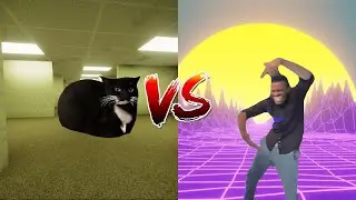 Maxwell the Cat vs That One Guy