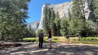 How Yosemite bear chasers keep the animals wild