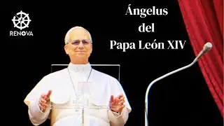 Anioł Pański, 11 stycznia 2026 r., Papież Leon XIV