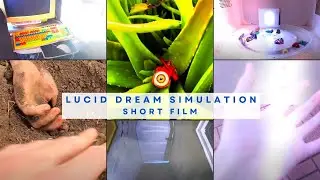 Lucid Dream Simulation | Enter the Lucid Dream POV