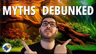 3 Blackwater Aquarium Myths Debunked (And 4 Surprising Truths)