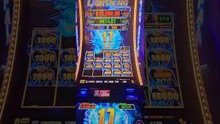 20$ Max Bet Buffalo Lightning Link #slots #gambling #casino