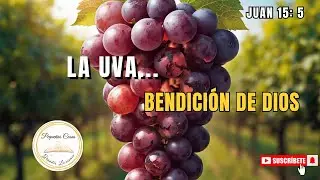 La UVA en la BIBLIA: Significado y Bendición que NO Conocías 🍇✨