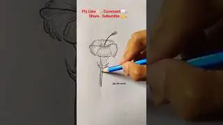 easyart#pencilsketch #ytshorts #viral #flower drawing #newlearner #realisticdrawing #music